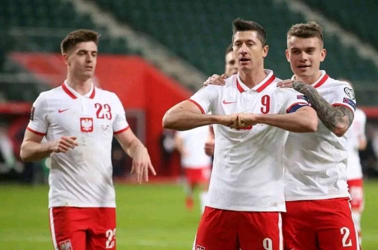 关于波黑客场失利，摩尔多瓦球队压力山大的信息