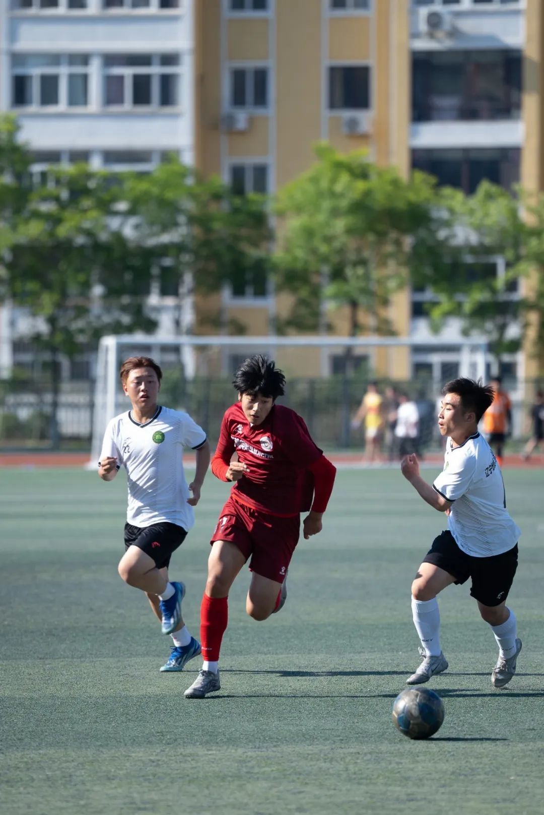 体育赛场的激烈战斗：世界选手积极备战