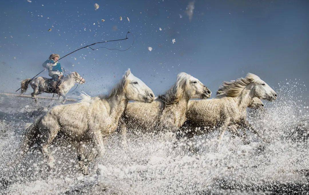 蒙古队选手表现出色，勇往直前的简单介绍
