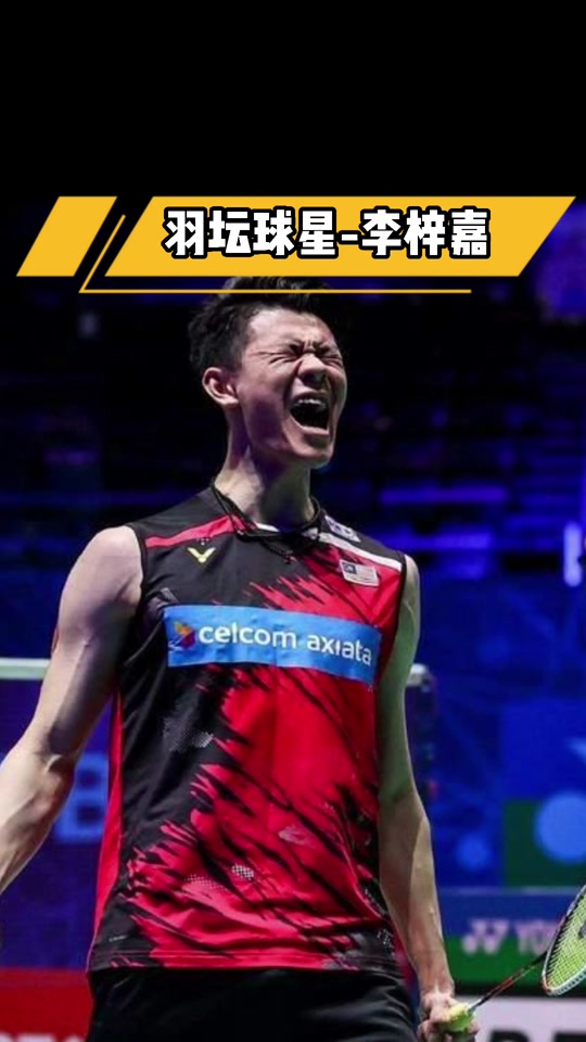 关于德国队绝杀马来西亚队,李梓嘉惊艳四座的信息 关于德国队绝杀马来西亚队,李梓嘉惊艳四座的信息